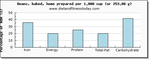 iron and nutritional content in baked beans